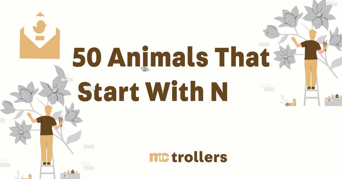animals that start with n in english